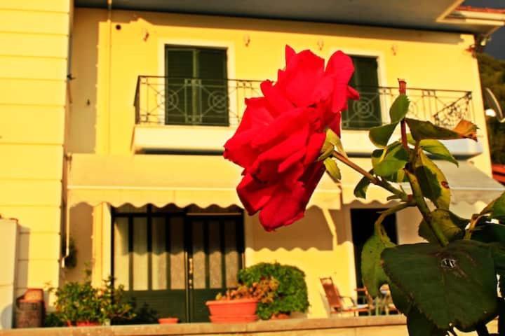 Guesthouse Bizani Neo Mpizani Exterior photo